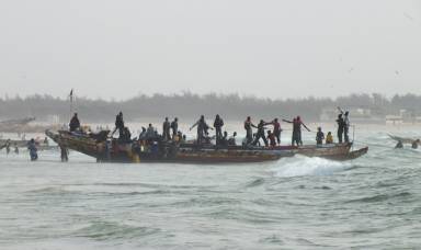 NON à l'octroi de plus de 50 licences de pêche de chalutier au Sénégal - Protégeons nos ressources-1