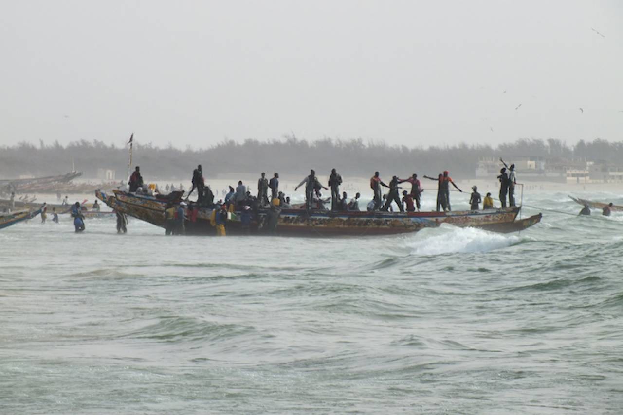 Surexploitation et changement climatique : au Sénégal, la pêche est en danger !