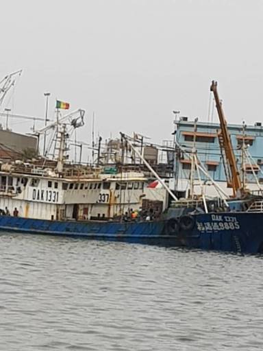 Fausse "sénégalisation" des navires chinois : après l'arachide, les chinois piratent le poisson local-1