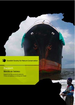 Menés en bateau : Rapport sur les accords de pêche de l&rsquo;Union Européenne avec l&rsquo;Afrique de l&rsquo;Ouest