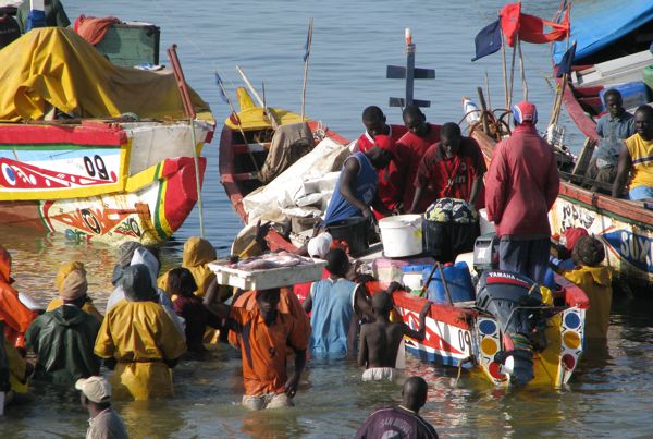 Au Sénégal, la colère gronde contre le pillage du poisson par les bateaux "étrangers"