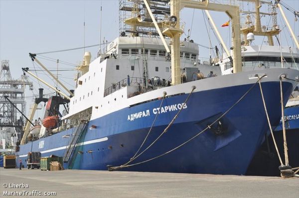 OPINION Polémique portant sur la pêche de chalutiers pélagiques étrangers dans les eaux sénégalaises 