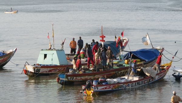 Directives volontaires pour garantir des pêches artisanales durables