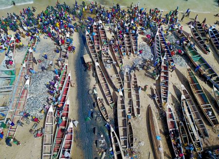 La transparence dans les pêches maritimes africaines