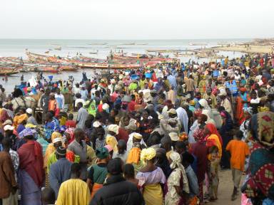 Participation du ministère des pêches à la Foire internationale de Dakar-4