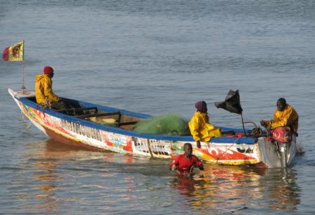 Pêche artisanale : les mauvaises pratiques qui menacent nos océans et nos communautés