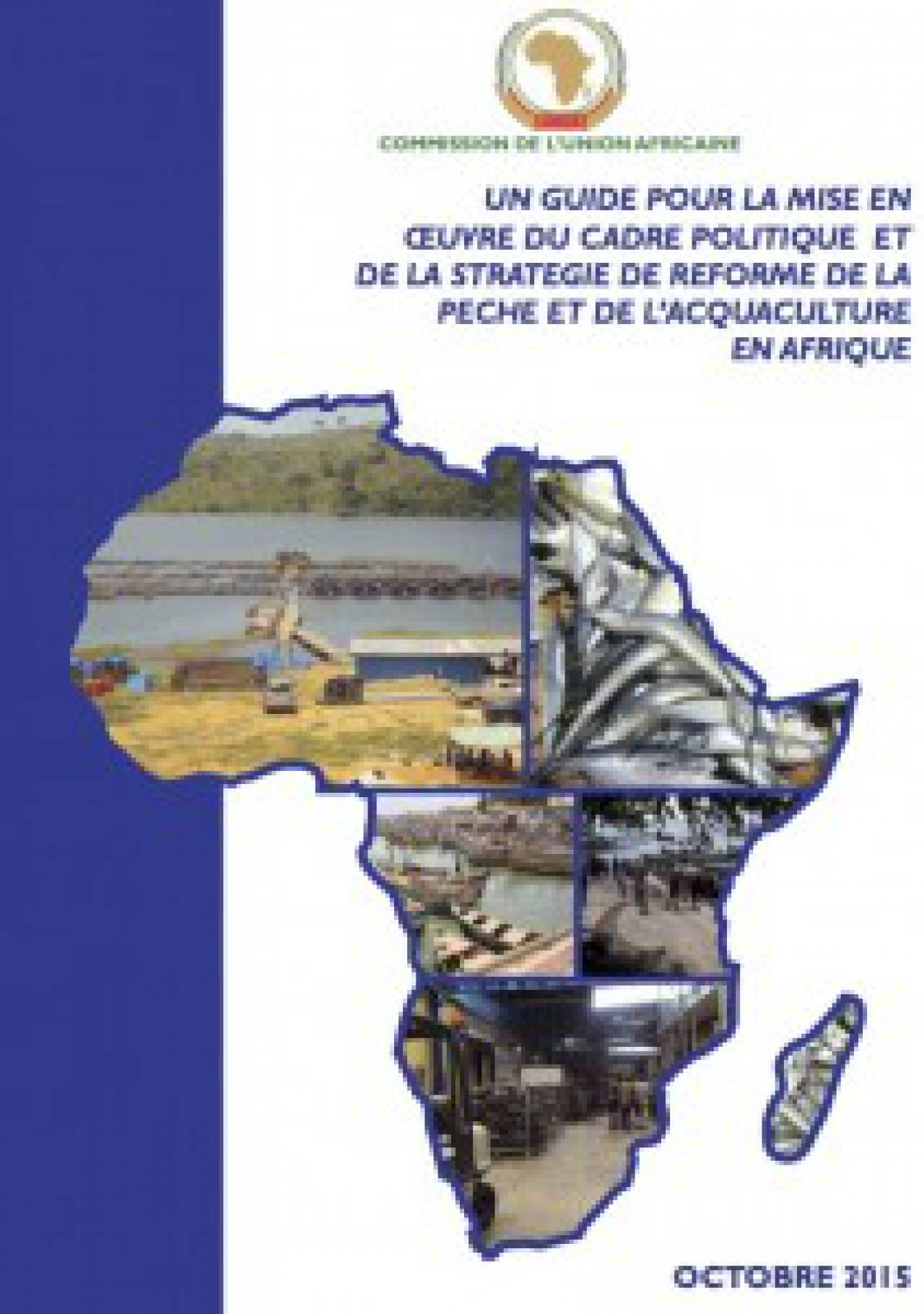 Guide pour la mise en œuvre du cadre politique et de la stratégie de réforme de la pêche et de l&rsquo;aquaculture en Afrique
