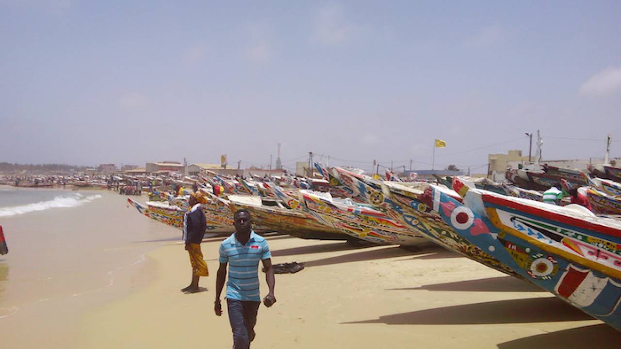 Transparence dans la gestion du secteur des pêches au Sénégal : Quelle stratégie pour le développement durable de la pêche ?