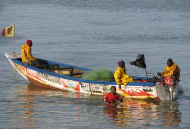 Communiqué du ministère des pêches-1